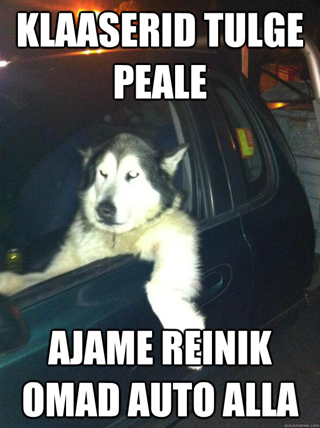 klaaserid tulge peale ajame reinik omad auto alla  Mean Dog