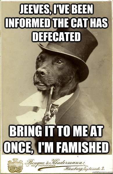 Jeeves, I've been informed the cat has defecated bring it to me at once,  I'm famished  Old Money Dog