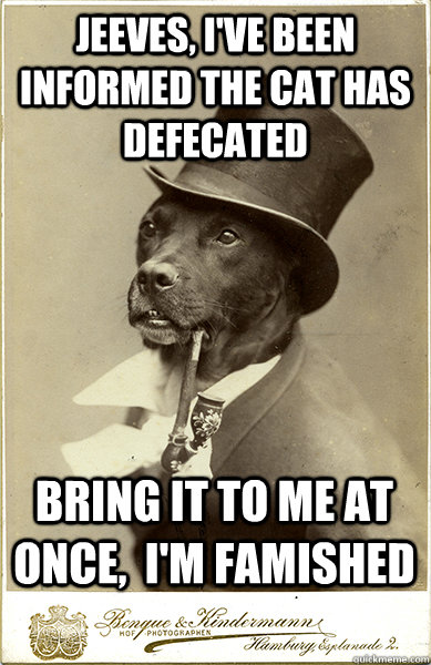 Jeeves, I've been informed the cat has defecated bring it to me at once,  I'm famished - Jeeves, I've been informed the cat has defecated bring it to me at once,  I'm famished  Old Money Dog