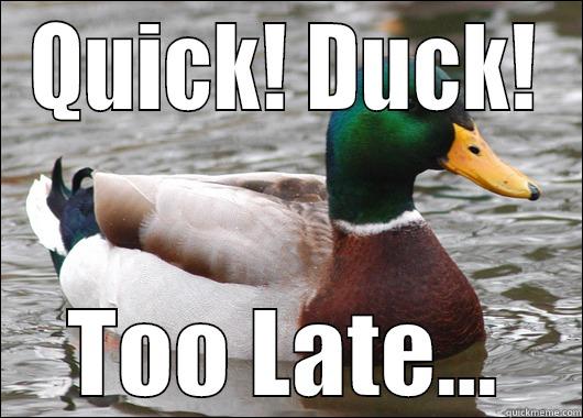 QUICK! DUCK! TOO LATE... Actual Advice Mallard