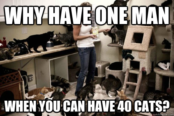 why have one man when you can have 40 cats?  