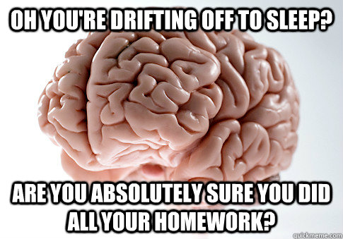 oh you're drifting off to sleep? are you absolutely sure you did all your homework?  Scumbag Brain