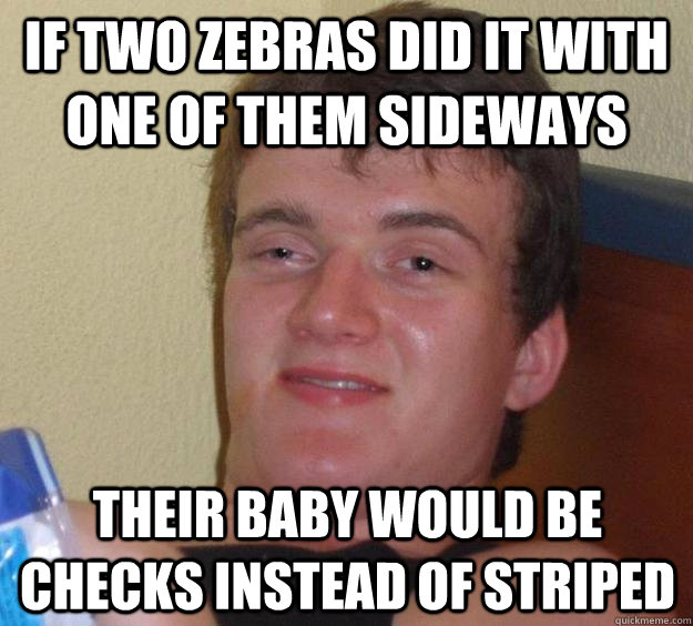 If two zebras did it with one of them sideways their baby would be checks instead of striped   10 Guy
