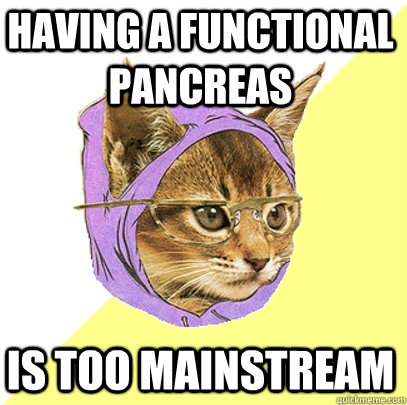 having a functional pancreas is too mainstream - having a functional pancreas is too mainstream  Hipster Kitty
