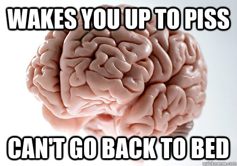 WAKES YOU UP TO PISS CAN'T GO BACK TO BED   Scumbag Brain