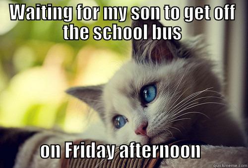 Waiting for Woobs - WAITING FOR MY SON TO GET OFF THE SCHOOL BUS             ON FRIDAY AFTERNOON             First World Cat Problems