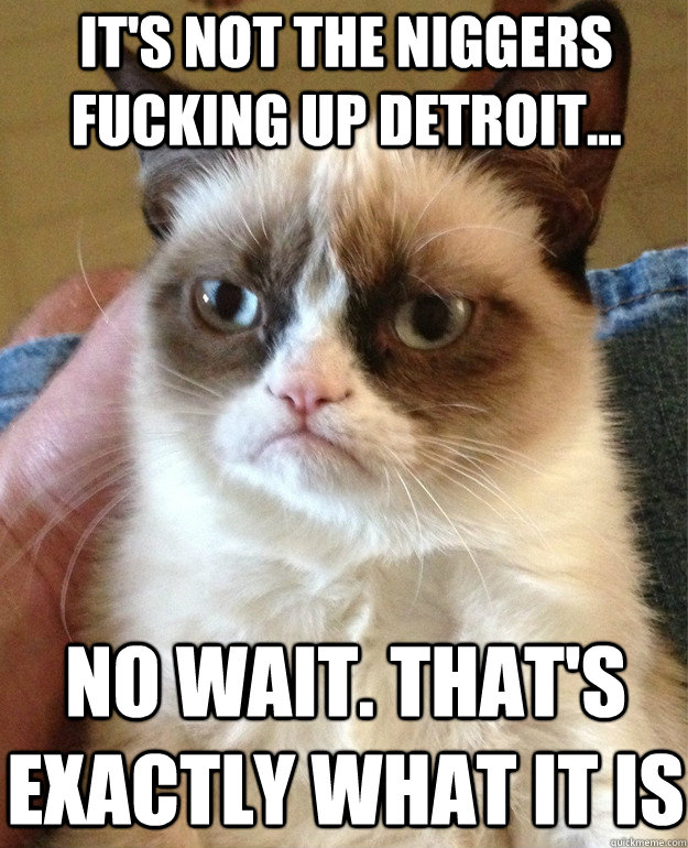 It's not the niggers fucking up detroit... No wait. That's exactly what it is  Grumpy Cat