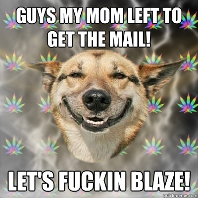 Guys my mom left to get the mail! LET'S FUCKIN BLAZE!  Stoner Dog