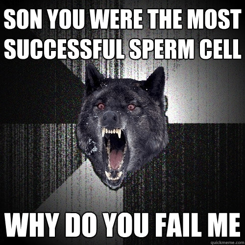 son you were the most successful sperm cell why do you fail me  Insanity Wolf