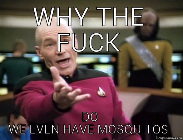 WHY THE FUCK DO WE EVEN HAVE MOSQUITOS  Annoyed Picard HD