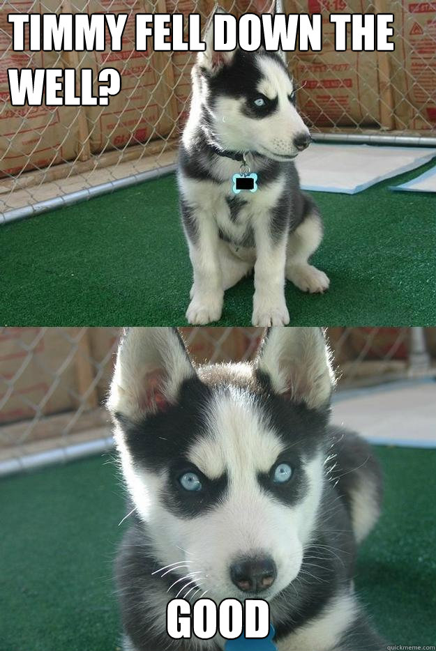 Timmy fell down the well? GOOD  Insanity puppy