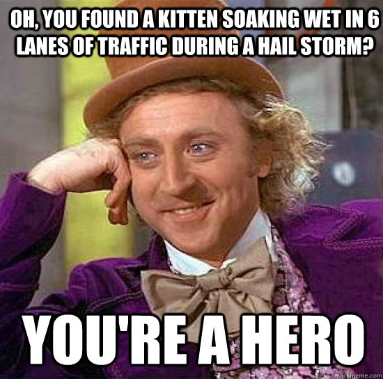 oh, you Found a kitten soaking wet in 6 lanes of traffic during a hail storm? You're a hero  Condesending Wonka