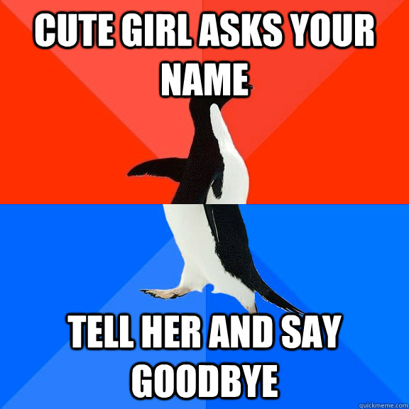 Cute girl asks your name Tell her and say goodbye  Socially Awesome Awkward Penguin