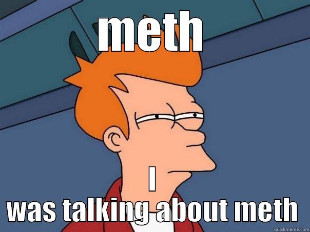 METH I WAS TALKING ABOUT METH Futurama Fry