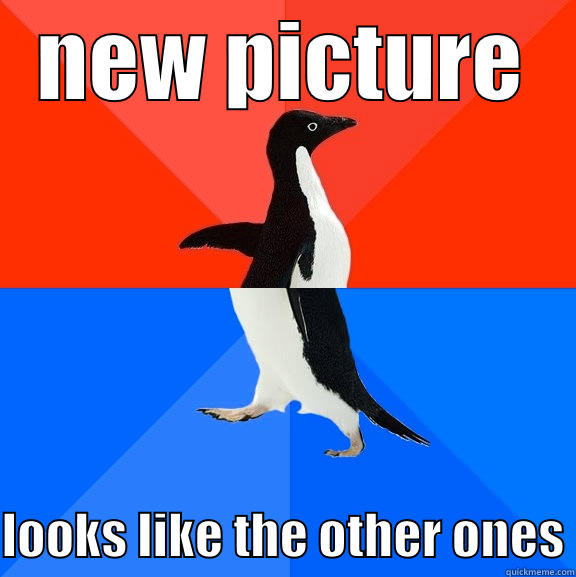 NEW PICTURE  LOOKS LIKE THE OTHER ONES Socially Awesome Awkward Penguin
