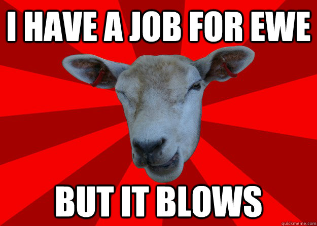 I have a job for ewe But it blows  