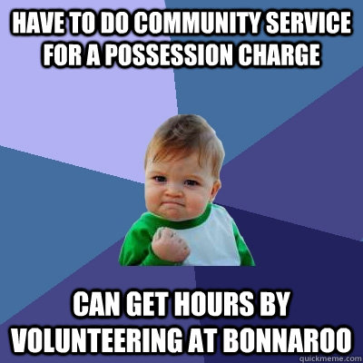 Have to do community service for a possession charge Can get hours by volunteering at bonnaroo - Have to do community service for a possession charge Can get hours by volunteering at bonnaroo  Success Kid