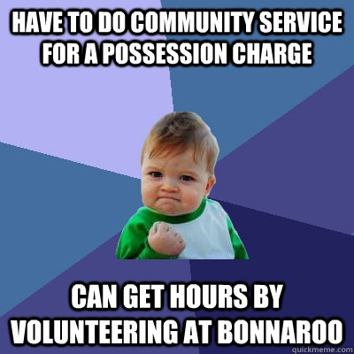Have to do community service for a possession charge Can get hours by volunteering at bonnaroo  Success Kid