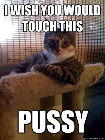 I wish you would touch this PUSSY  The Most Interesting Cat in the World