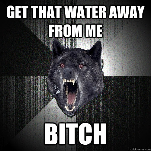 get that water away from me bitch  Insanity Wolf