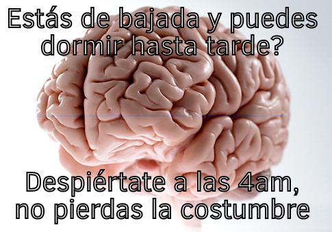 ESTÁS DE BAJADA Y PUEDES DORMIR HASTA TARDE? DESPIÉRTATE A LAS 4AM, NO PIERDAS LA COSTUMBRE Scumbag Brain