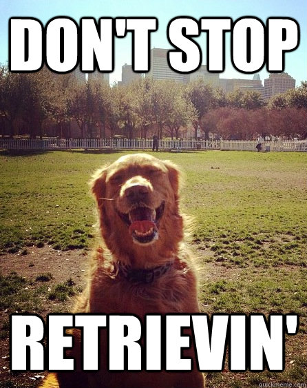 Don't Stop retrievin' - Don't Stop retrievin'  Misc