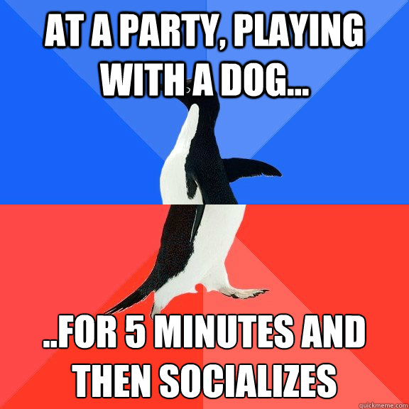 at a party, playing with a dog... ..for 5 minutes and then socializes   Socially Awkward Awesome Penguin