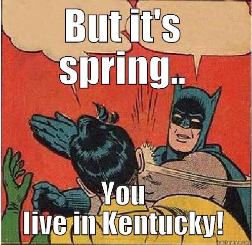 BUT IT'S SPRING.. YOU LIVE IN KENTUCKY! Batman Slapping Robin