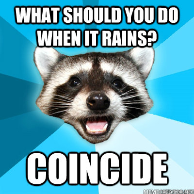 What should you do when it rains? Coincide   Lame Pun Raccoon