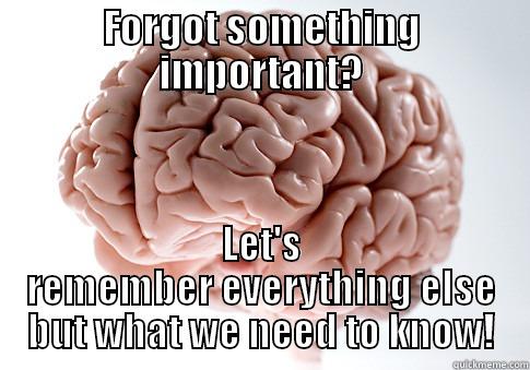 FORGOT SOMETHING IMPORTANT? LET'S REMEMBER EVERYTHING ELSE BUT WHAT WE NEED TO KNOW! Scumbag Brain