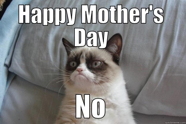 HAPPY MOTHER'S DAY NO Grumpy Cat