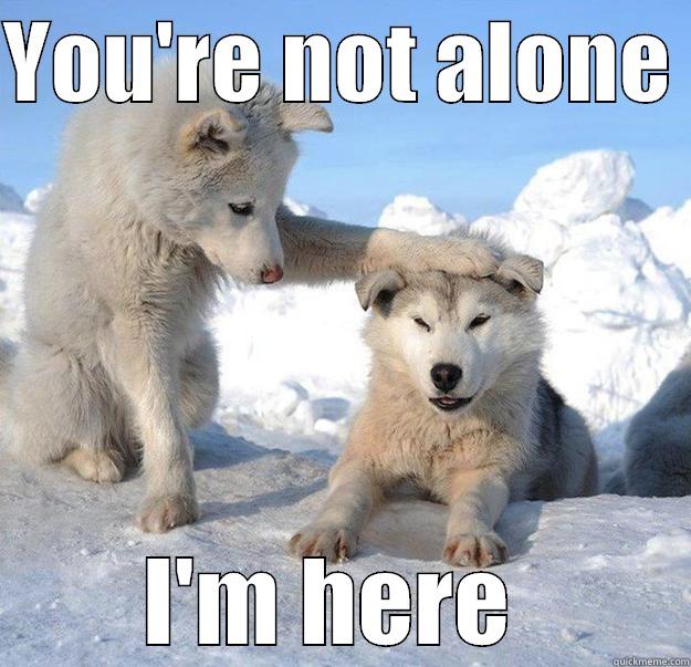 husky not alone - YOU'RE NOT ALONE  I'M HERE  Caring Husky