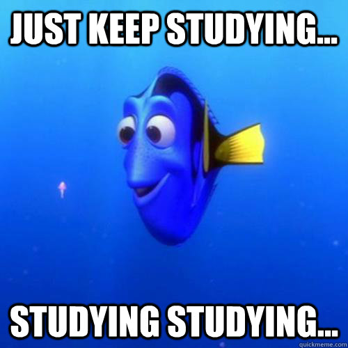 Just keep studying... studying studying... - Just keep studying... studying studying...  dory