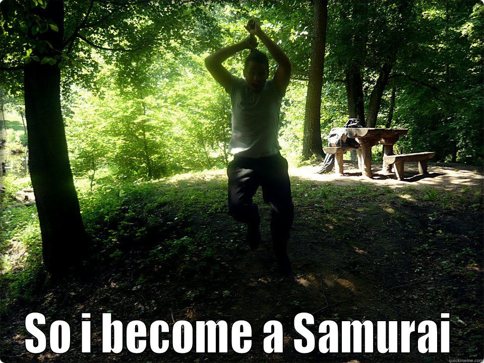  SO I BECOME A SAMURAI Misc