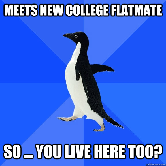 Meets new college flatmate So ... You live here too?  Socially Awkward Penguin