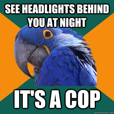 see headlights behind you at night it's a cop  Paranoid Parrot