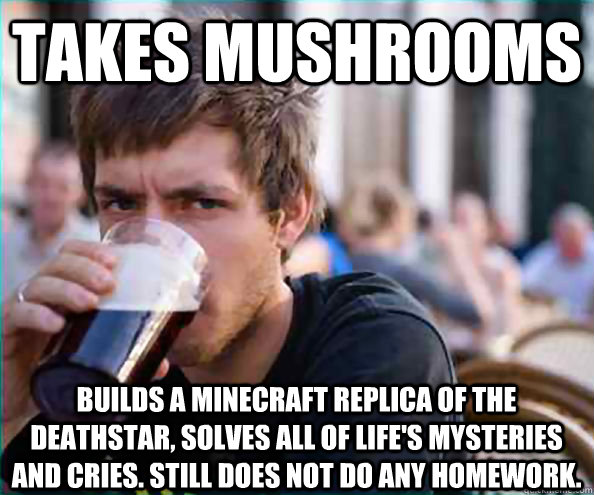 Takes mushrooms builds a minecraft replica of the deathstar, solves all of life's mysteries  and cries. still does not do any homework.  Lazy College Senior