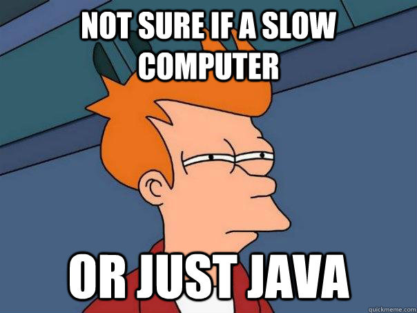 Not sure if a slow computer Or just Java  Futurama Fry