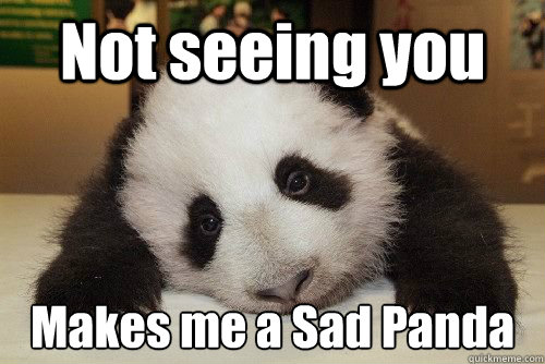 Not seeing you Makes me a Sad Panda  