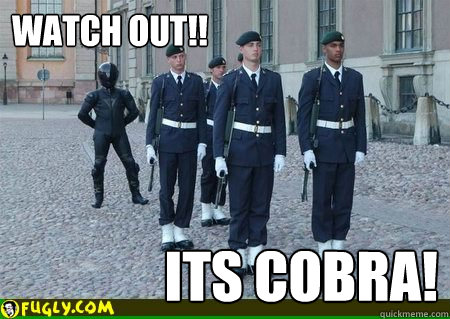 Watch out!! Its cobra!  