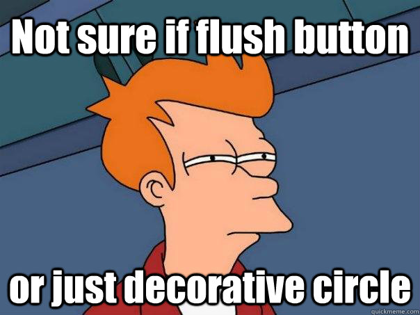 Not sure if flush button or just decorative circle  Futurama Fry