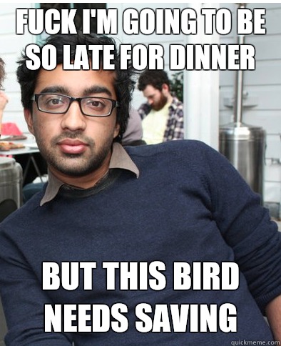 Fuck I'm going to be so late for dinner But this bird Needs saving - Fuck I'm going to be so late for dinner But this bird Needs saving  Hipster Oz