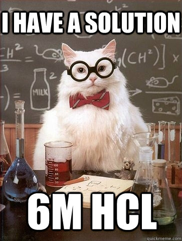 I HAVE A SOLUTION 6M HCL  Chemistry Cat