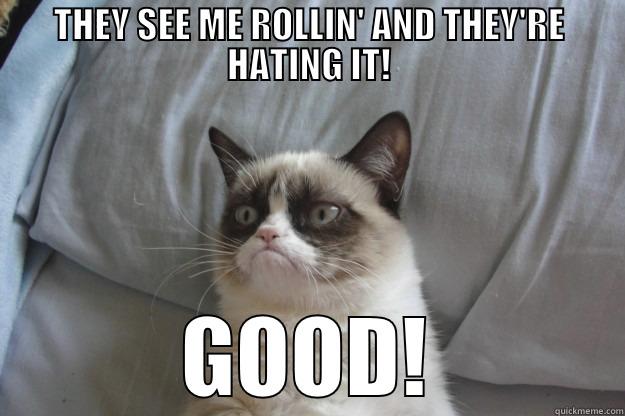 THEY SEE ME ROLLIN' - THEY SEE ME ROLLIN' AND THEY'RE HATING IT! GOOD! Grumpy Cat
