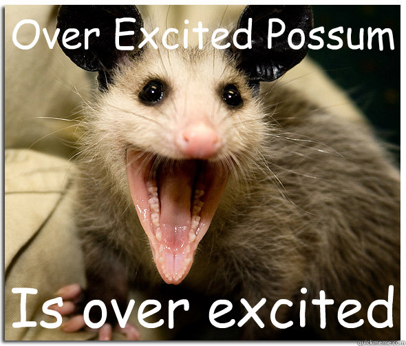 Over Excited Possum Is over excited  Over-Excited Possum