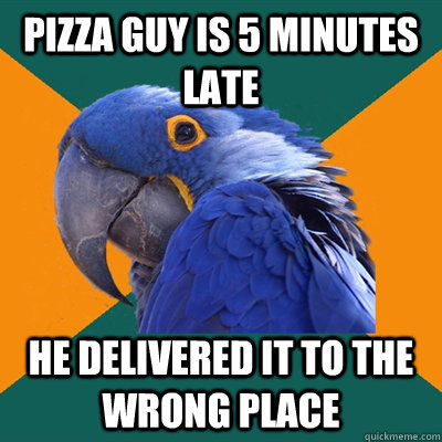 Pizza guy is 5 minutes late he delivered it to the wrong place  Paranoid Parrot