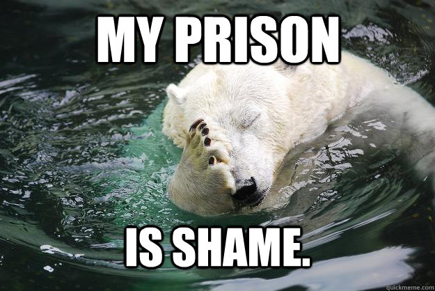 my prison is SHAME.  Embarrassed Polar Bear