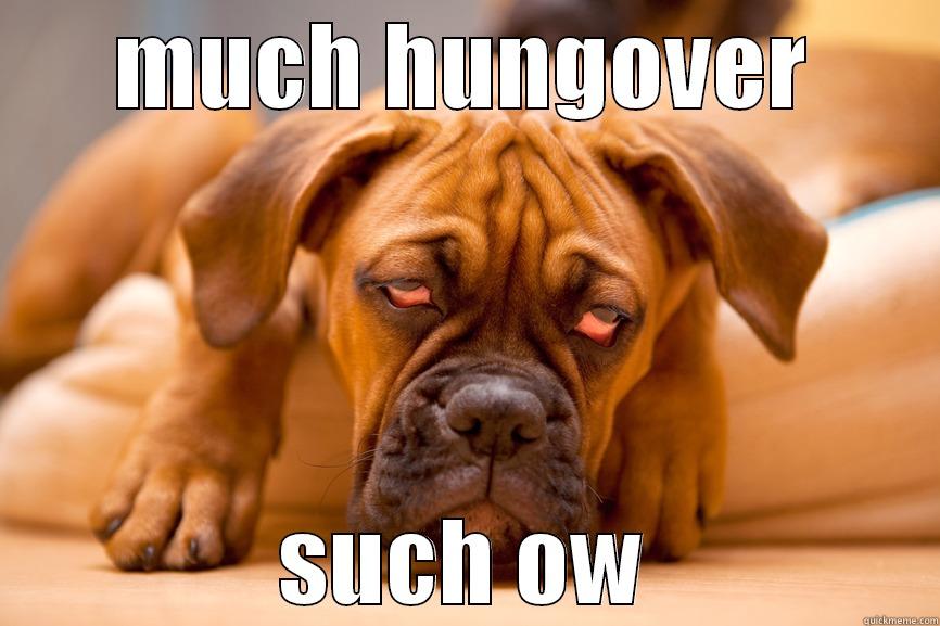 hungover doge  - MUCH HUNGOVER SUCH OW Misc