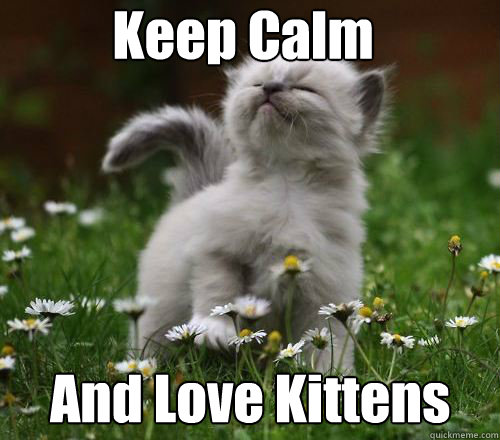 Keep Calm
 And Love Kittens  