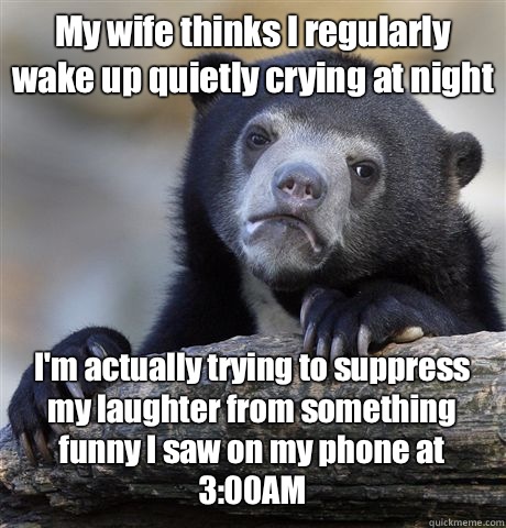 My wife thinks I regularly wake up quietly crying at night I'm actually trying to suppress my laughter from something funny I saw on my phone at 3:00AM  Confession Bear